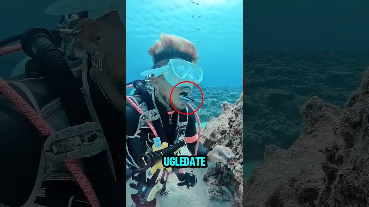 Ribe Zubari🦷