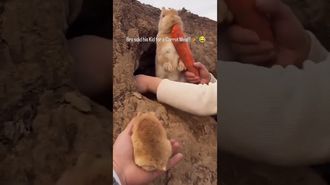 bro sold his kids for a carrot meal 🤣😭 #trending #funny #love  #funniestvideo #viral #animals #cute