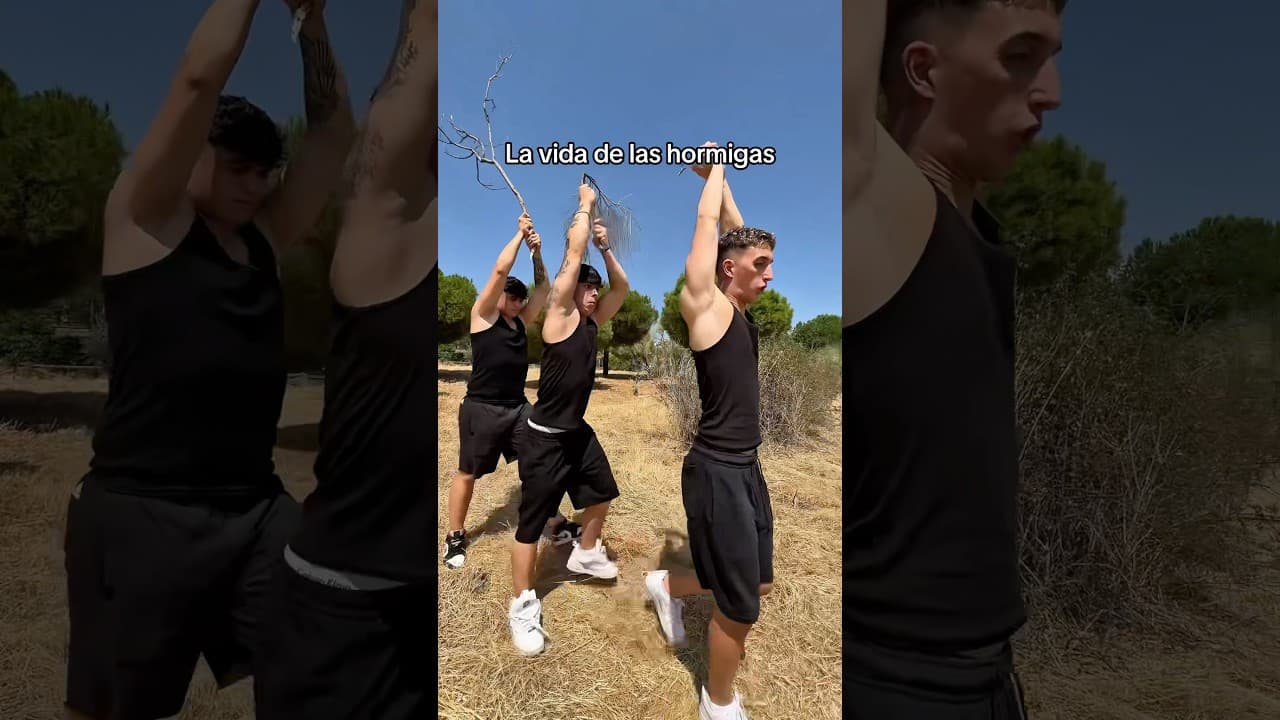 La vida de las hormigas🐜 #humor #funil #shortsviral #comedia #viralvideo