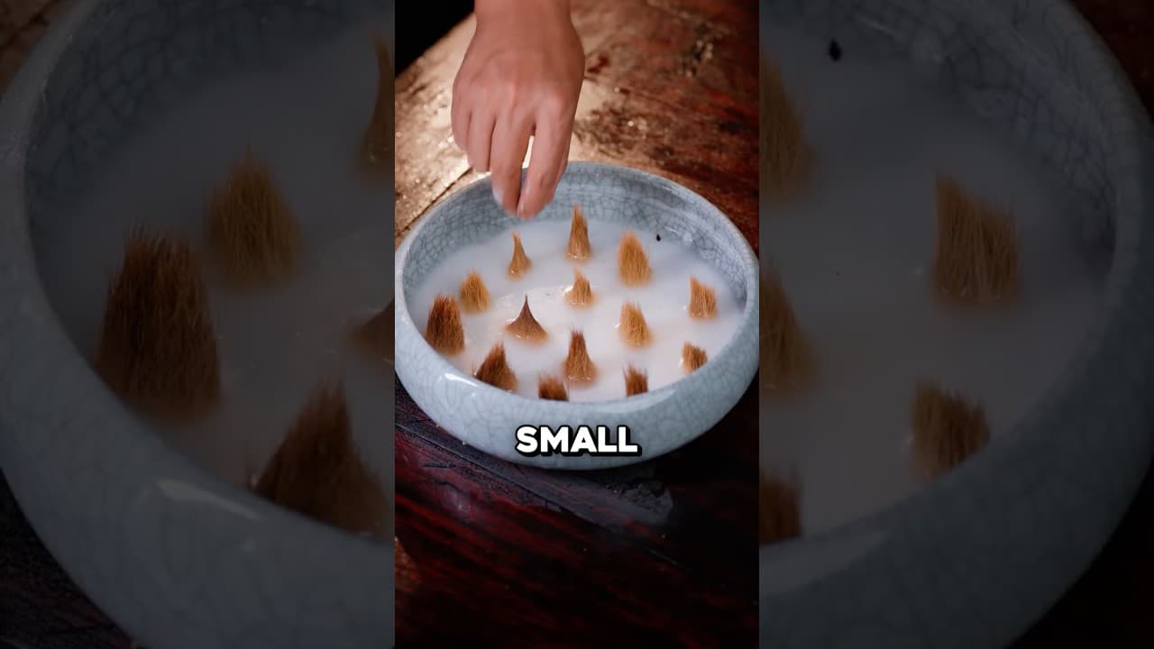 The Surprising Use of Dog Fur 🤯