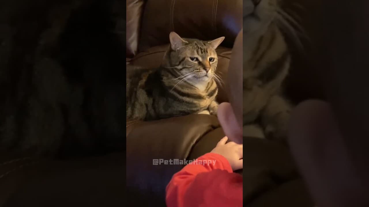 Cat’s Plan to Avoid the Baby… Failed Immediately.#funny #pets #animals #cute