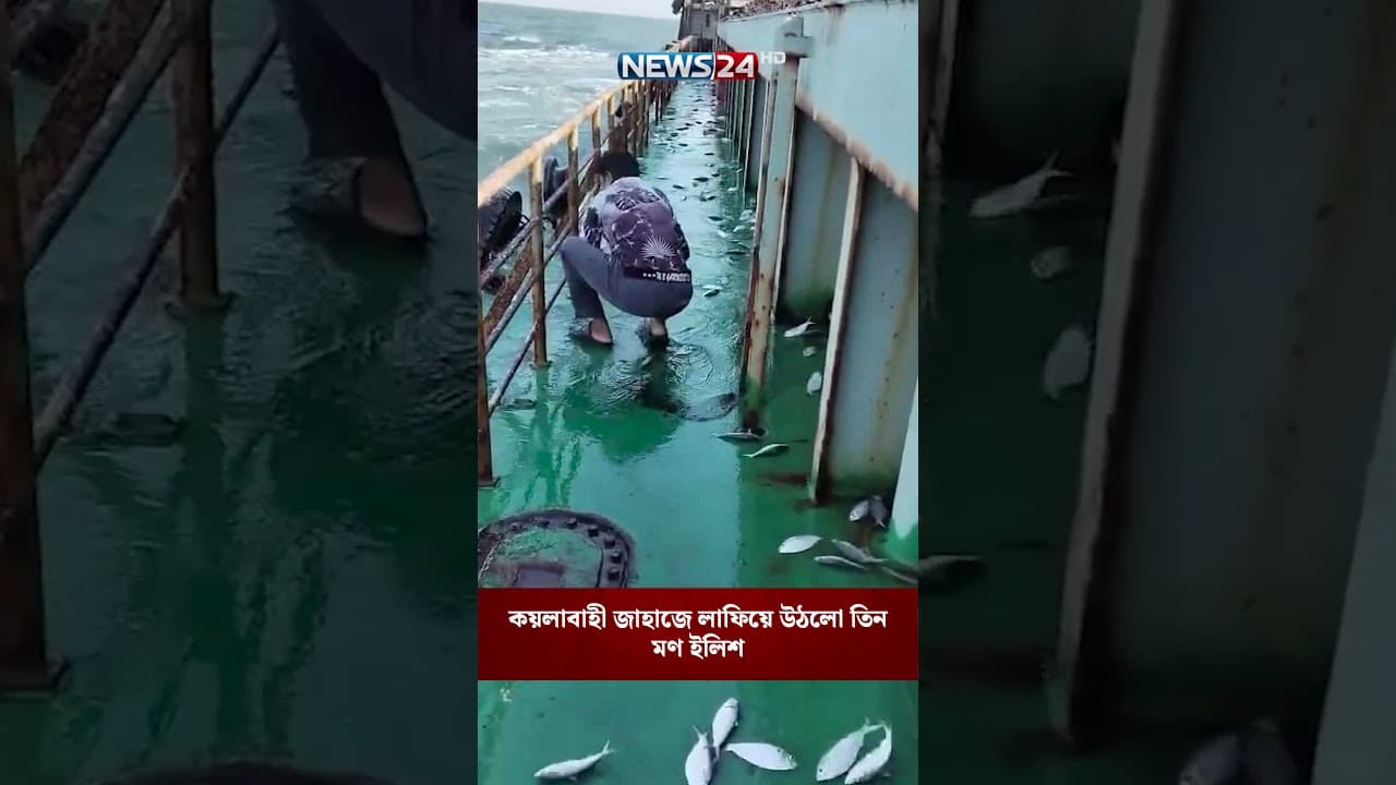 কয়লাবাহী জাহাজে লাফিয়ে উঠলো তিন মণ ইলিশ | NEWS24
