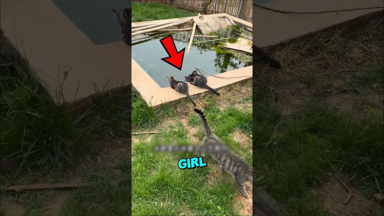 This Girl SAVED Cats Water