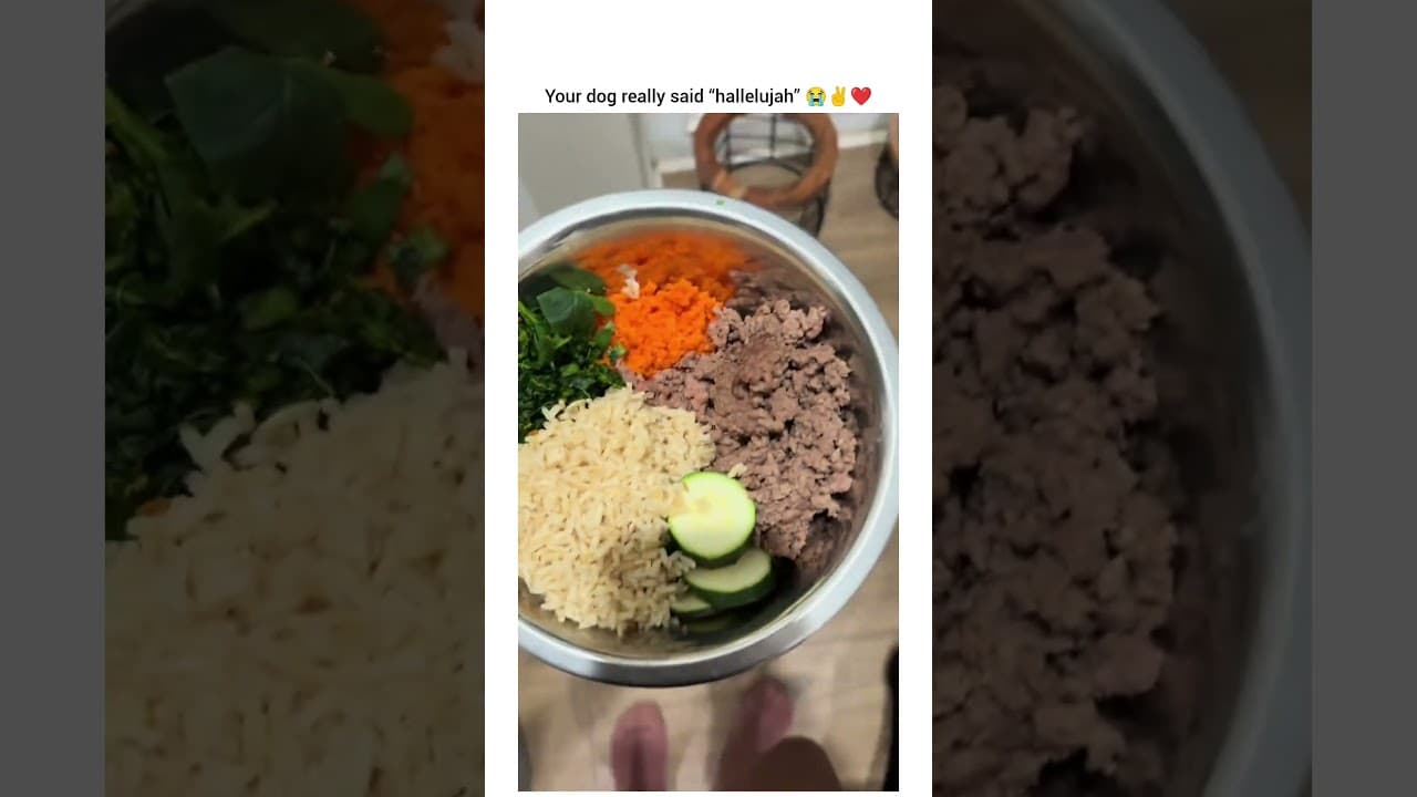 The Holy Spirit make him jump                                                        sykotic_girl/tt