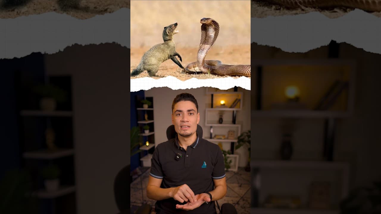 حد ينقذ الافعى!