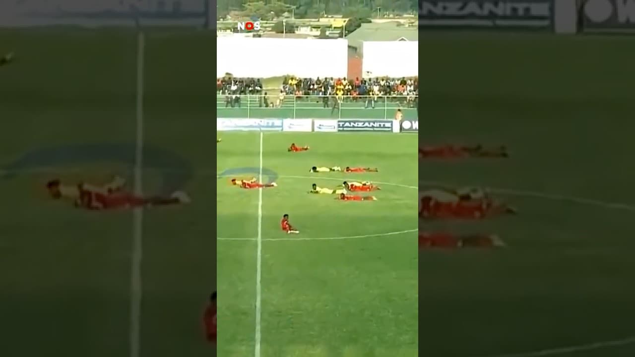 Voetbalwedstrijd in Tanzania stilgelegd vanwege bijen