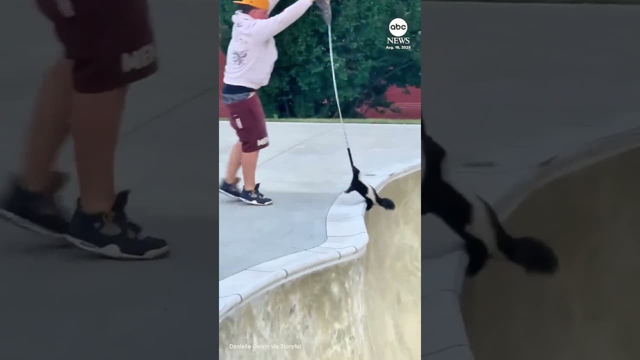 Bro unlocked the Tony Hawk: Pest Control DLC 🛹🦨