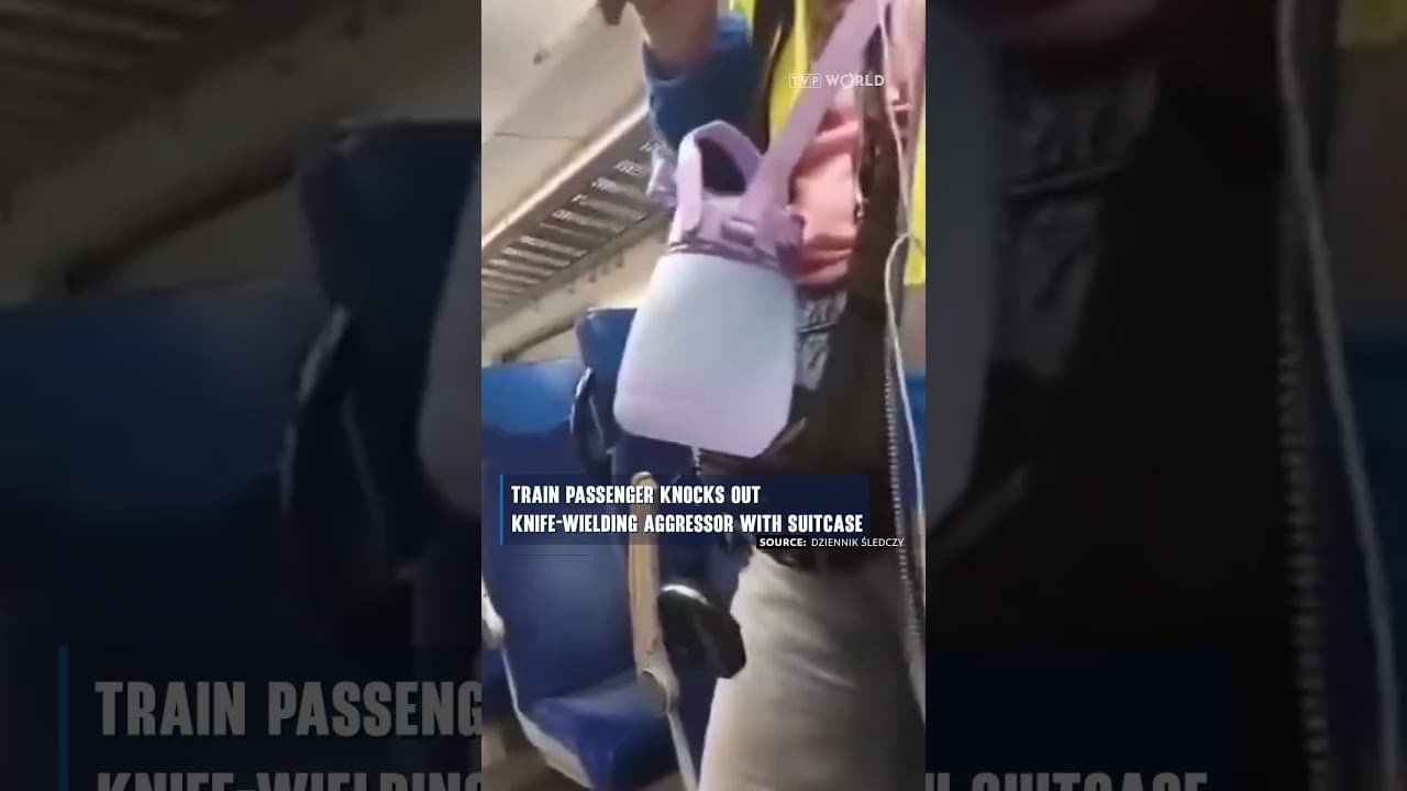 Train passenger knocks out knife-wielding aggressor with suitcase