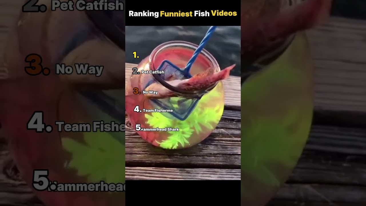 Ranking Funniest Fish Videos