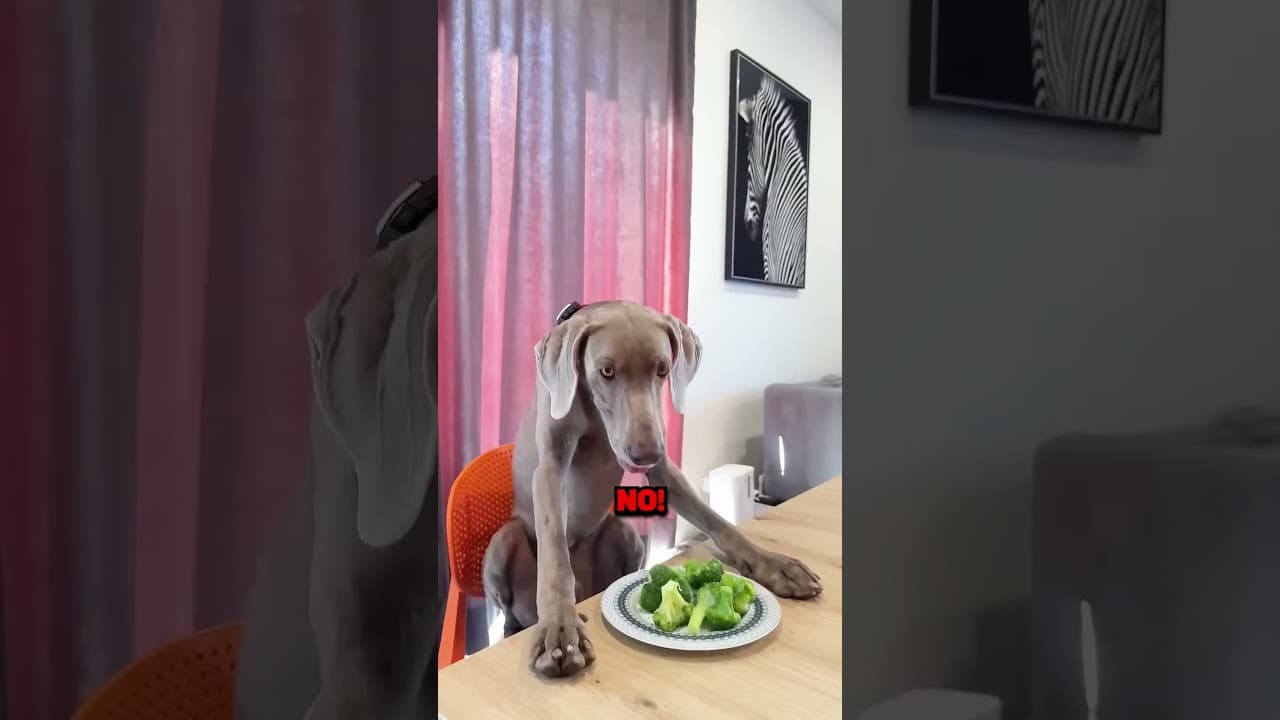 I Love Baths Mom! 🛁😂💖