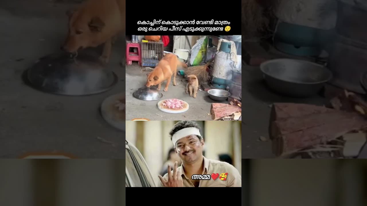 അമ്മ ❤️🥰ഒരു തോൽവിയും അവസാനമല്ല,  #instagood #instadaily