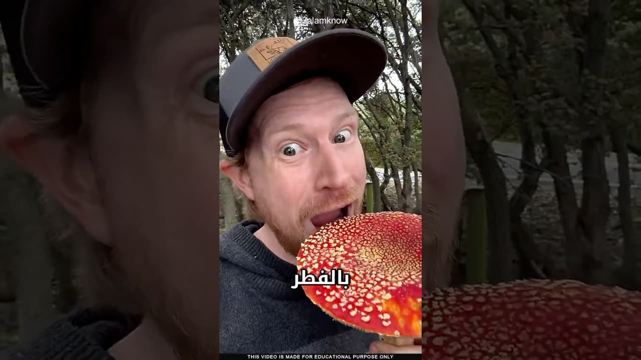 ما سر الفطر البري