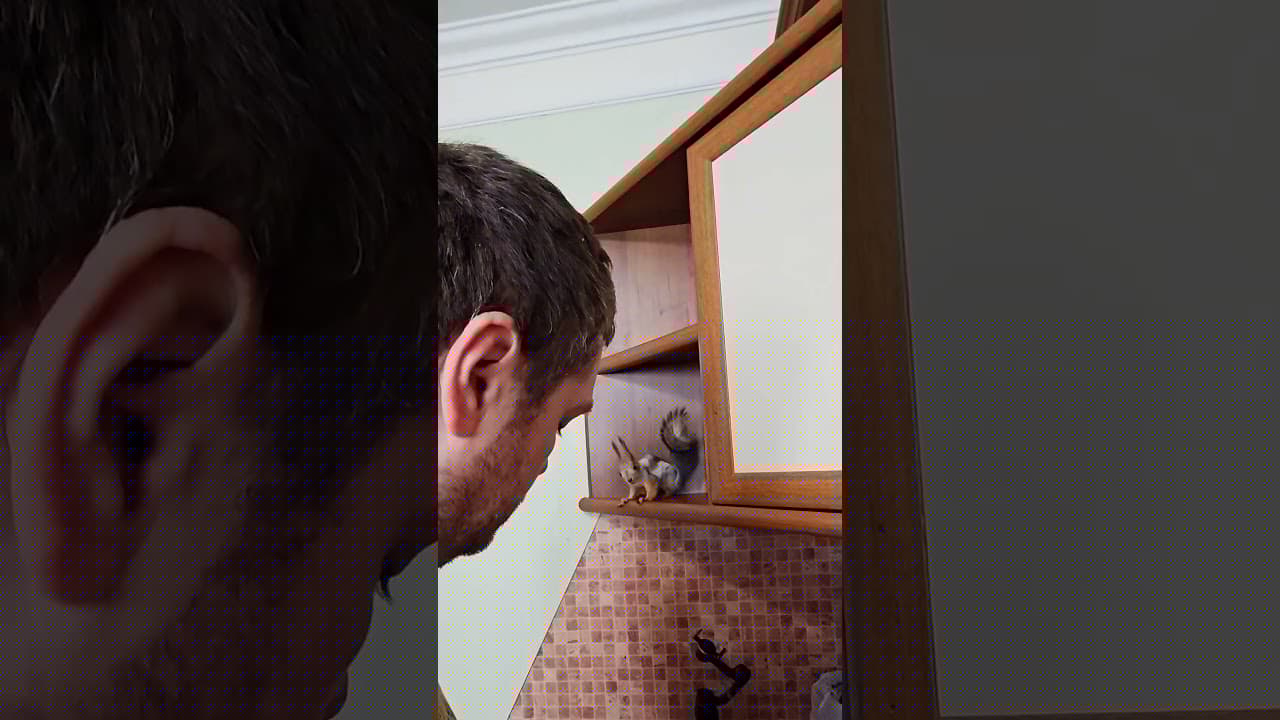 Как белки помогают делать яблочный сок #белкавдоме