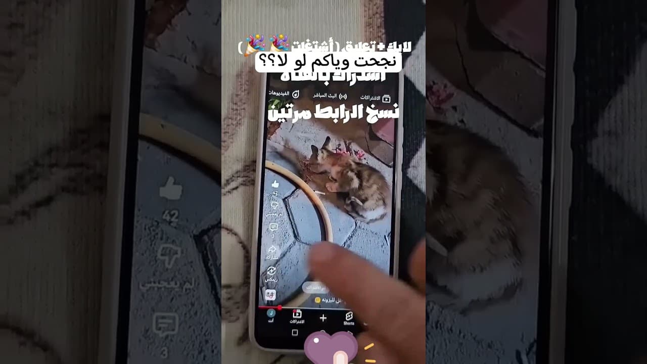 Tool Items! New Viral Gadgets, Smart Appliances #shorts #gadget#اكسبلور #النظافه #اهميه #funny