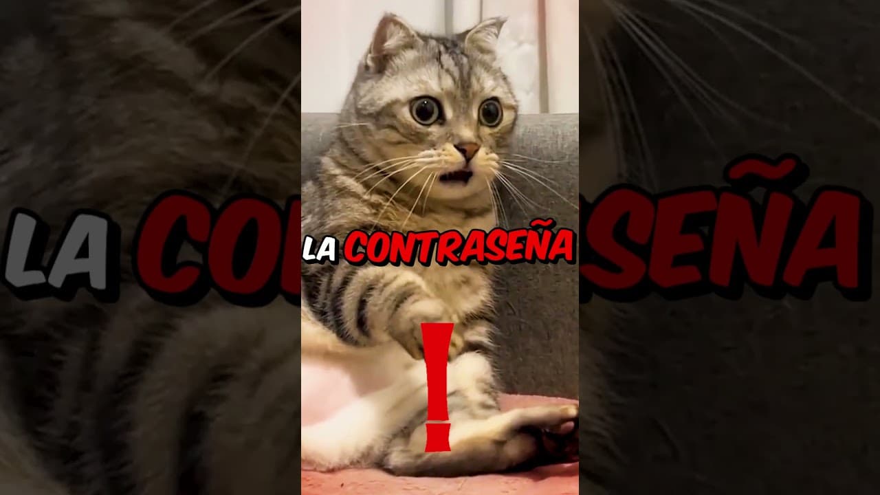 La contraseña del Atalanta es 1,2,3,4