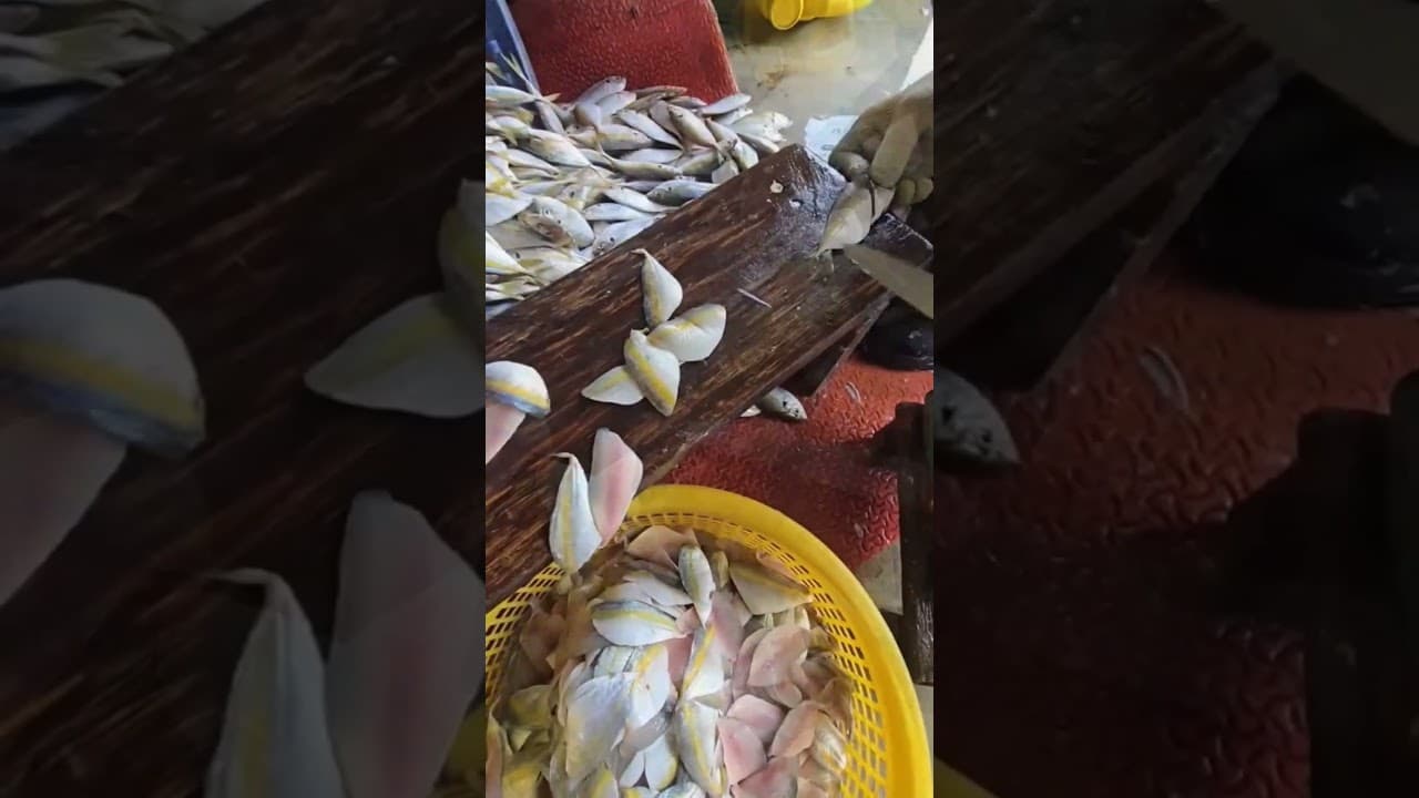 Skill memisahkan daging ikan dari tulangnya