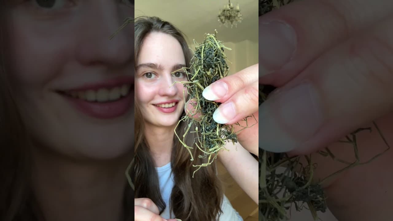 Das ist TEE🍵  ich wette ihr könnt mir keine einzige Teesorte davon nennen 👀| officialjosi