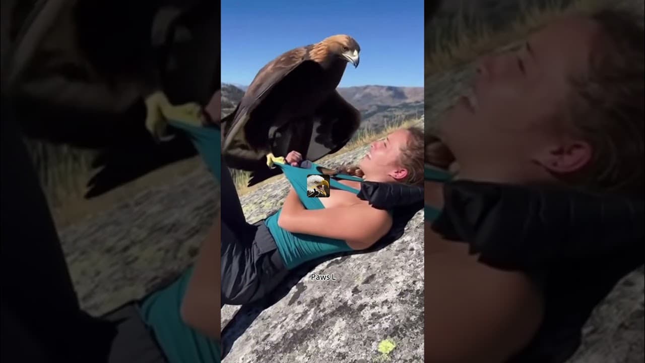 🤯TERRIFIED! Giant Bird Ambush on the Mountain. #Shorts