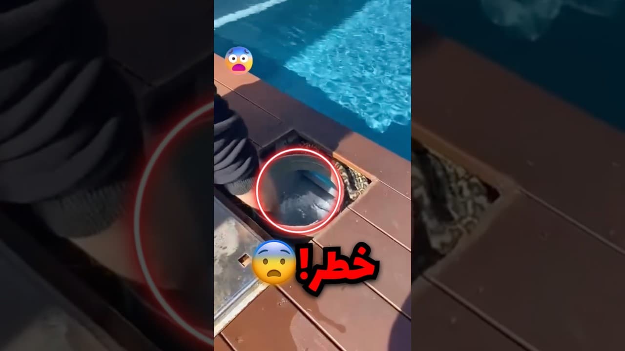 حط يده في مكان كان بيخسرها فيه!! (صدمة)