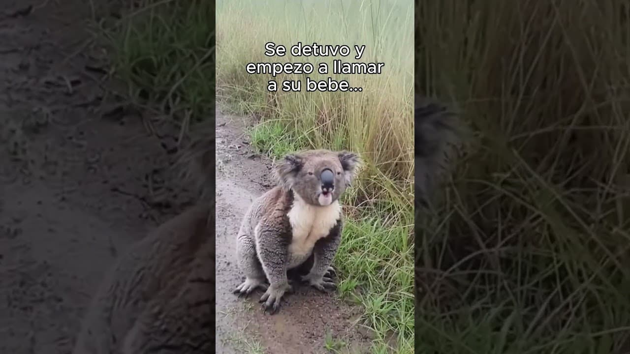 Me dio un abrazo como agradecimiento ❤️