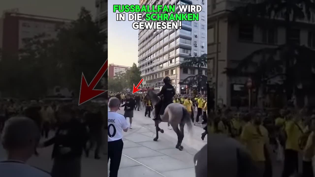 Polizeipferd STOPPT Streit zwischen Fußballfans! War das zu viel?