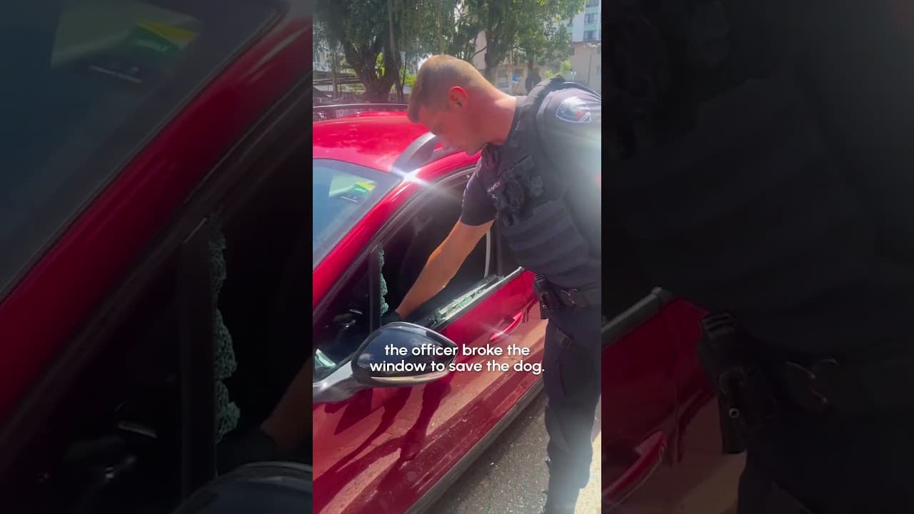 Police Rescued Dog Stuck In Locked Car