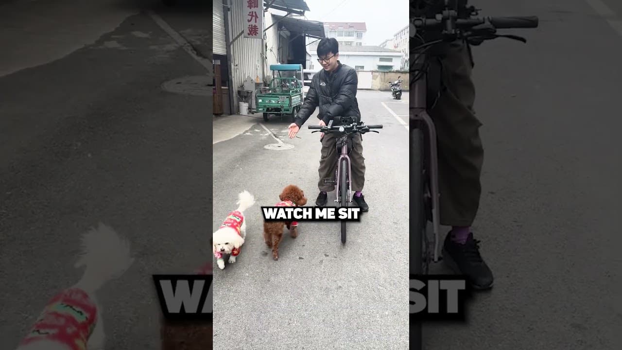 Dad, I’m the boss! 😎👊