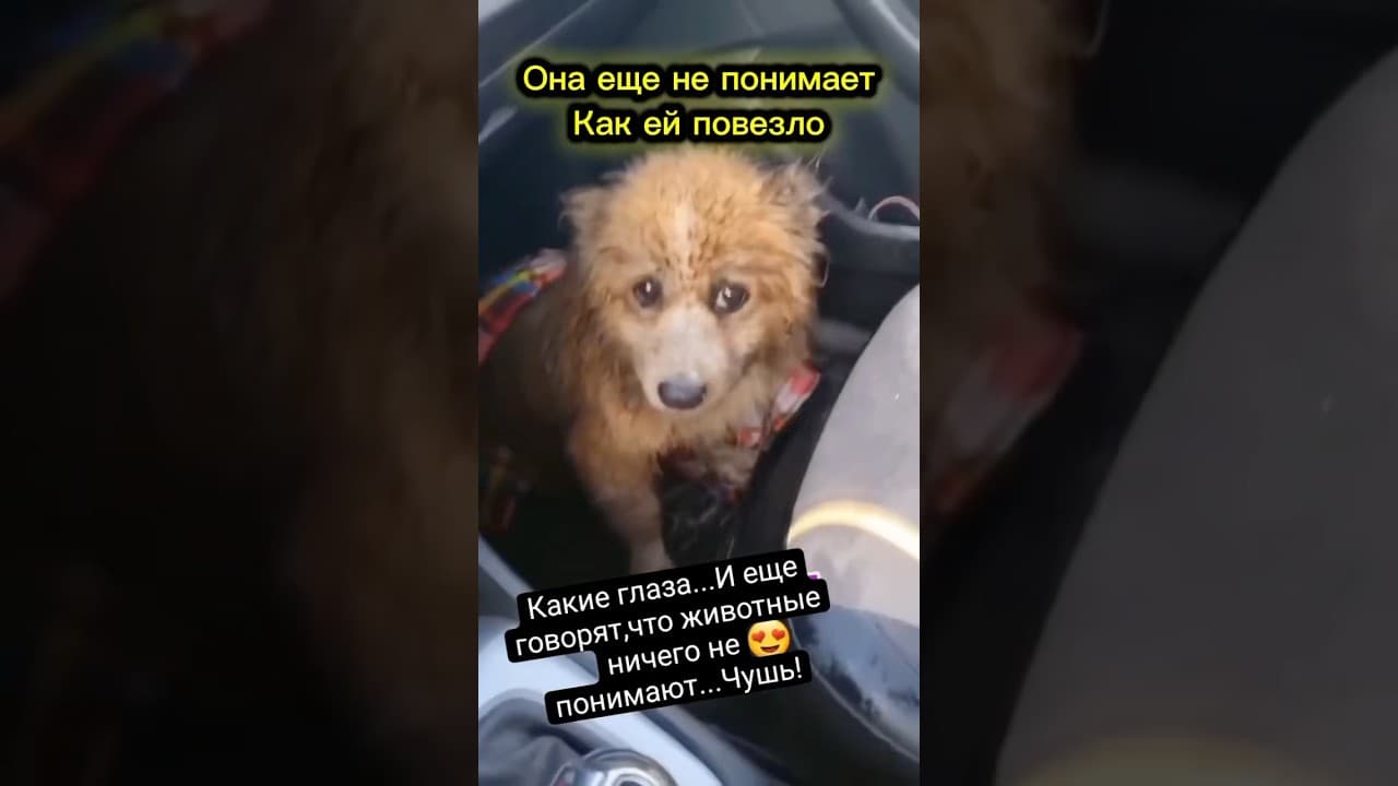 Как же ей повезло с новым другом.