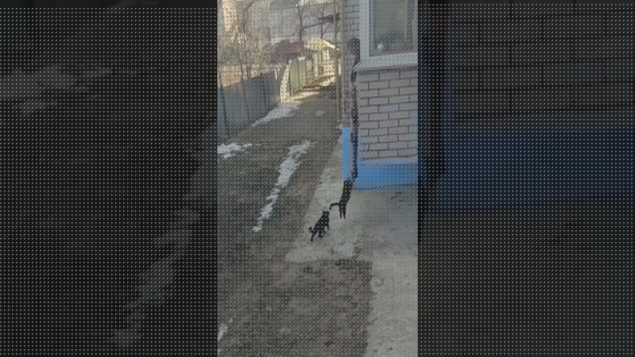 Идём домой.