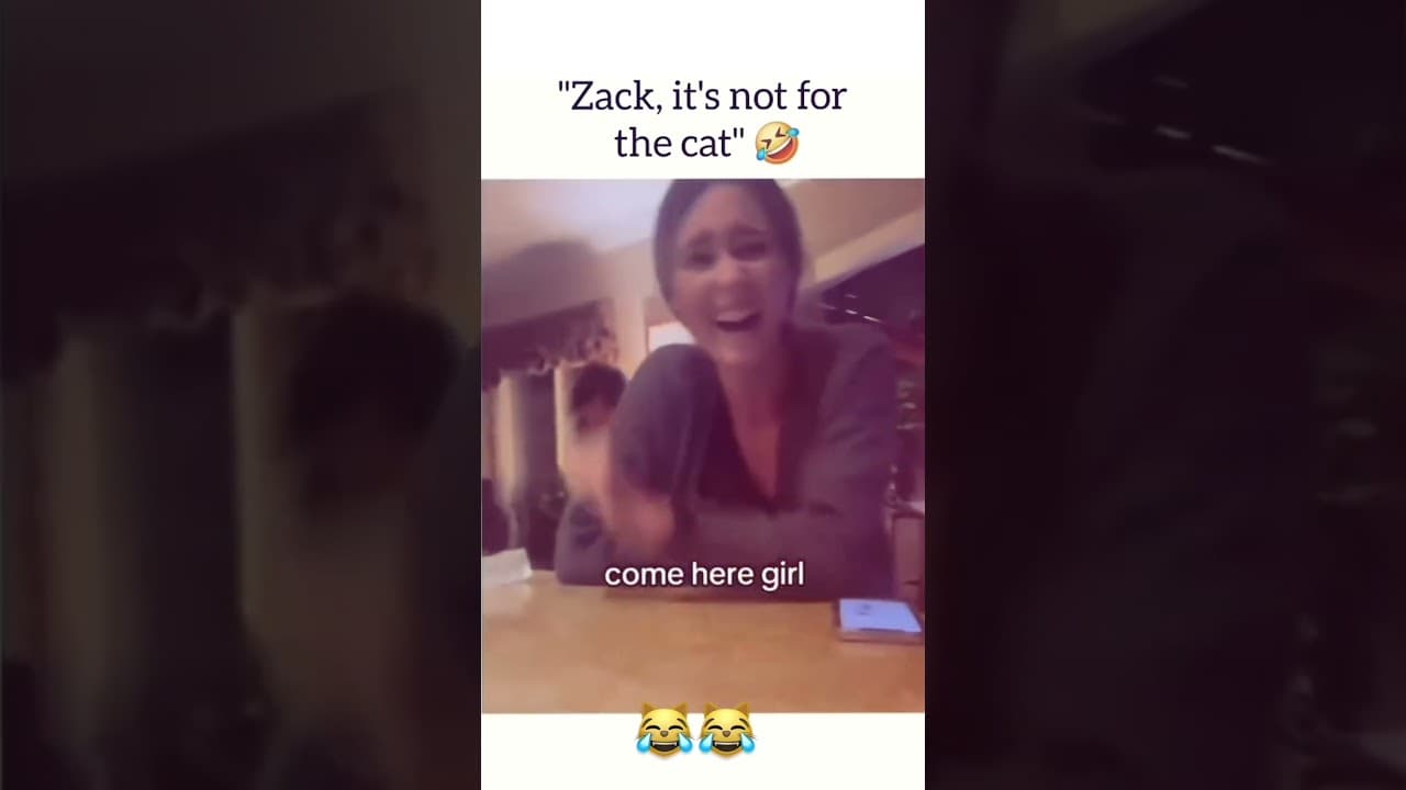 Zack, it’s not for the cat 😂