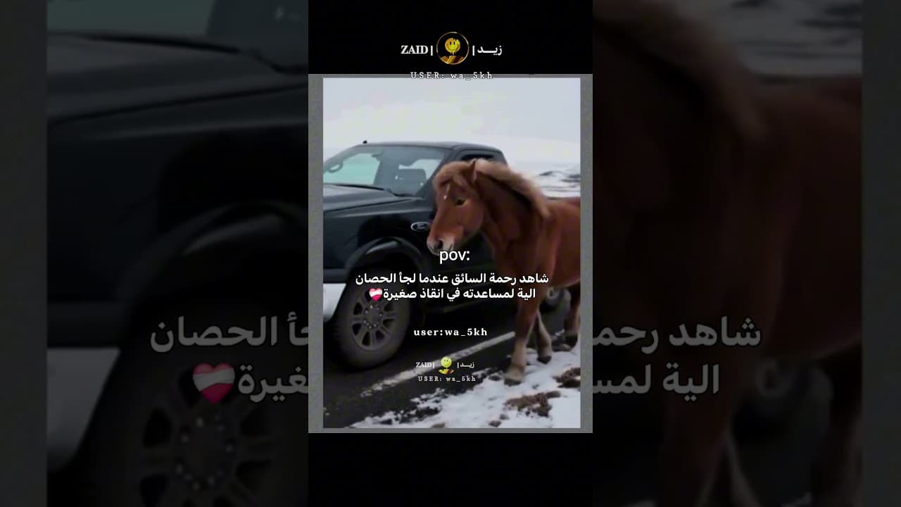 شاهد رحمة السائق عندما لجأ الحصان الية لمساعدته في انقاذ صغيرة❤️‍🩹#اكسبلور #قصص  #تصميمي #حزن #fypシ