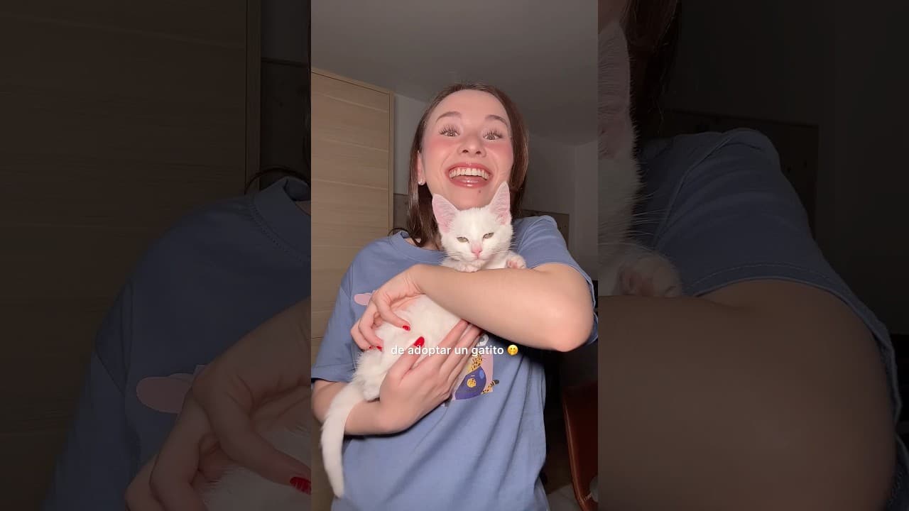 ¿También os pasa? Decidme que sí 🙄😂💖🐈