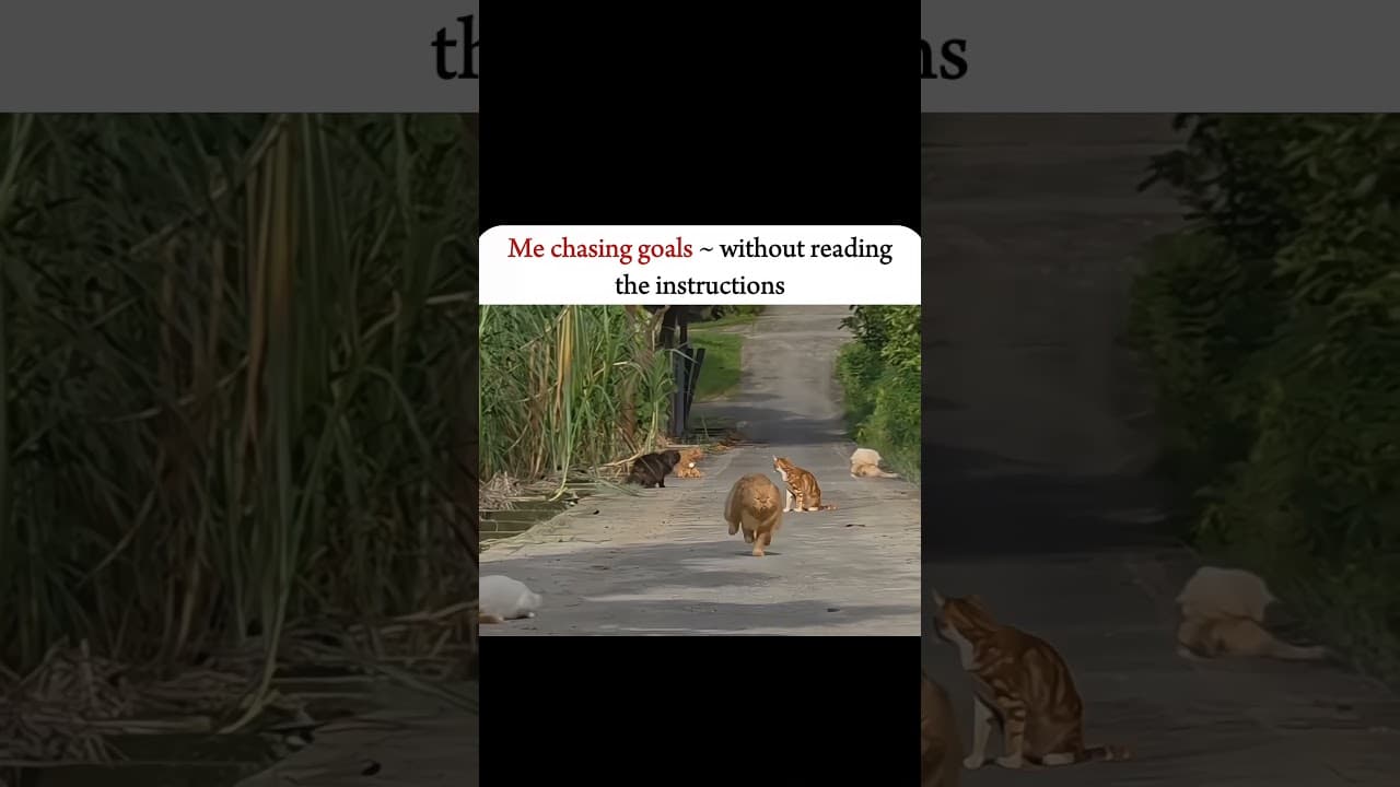 || Chasing goals...                                                                          #shorts