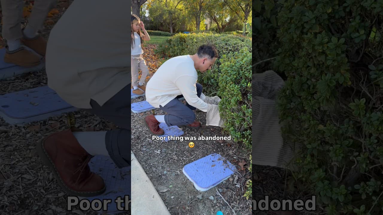 We found this abandoned 🥺