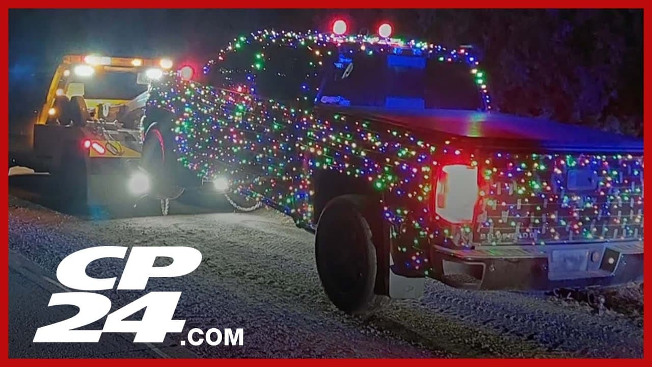 Driver pays the price for festive car