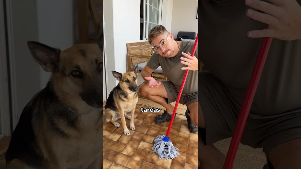 Te enseño al perro mopa 🤣