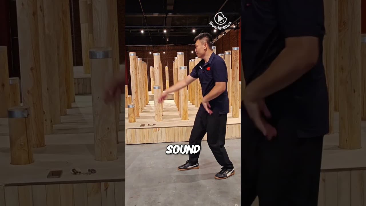 The Chinese martial artist that Dana White wants to sign