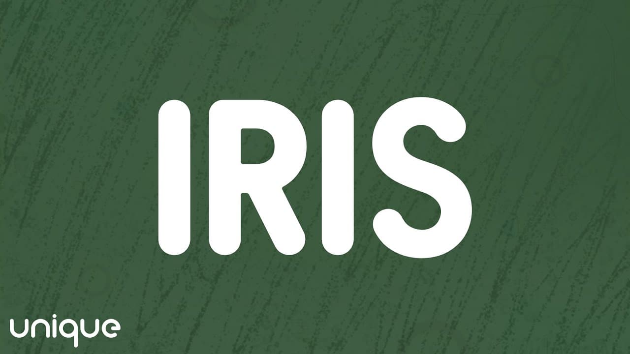 Goo Goo Dolls - Iris (Lyrics)