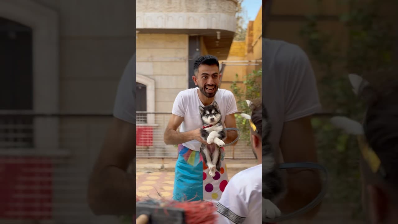 اغبى حارس شخصي مع كلب الملك🐶🤴الجزء الاول😂😂