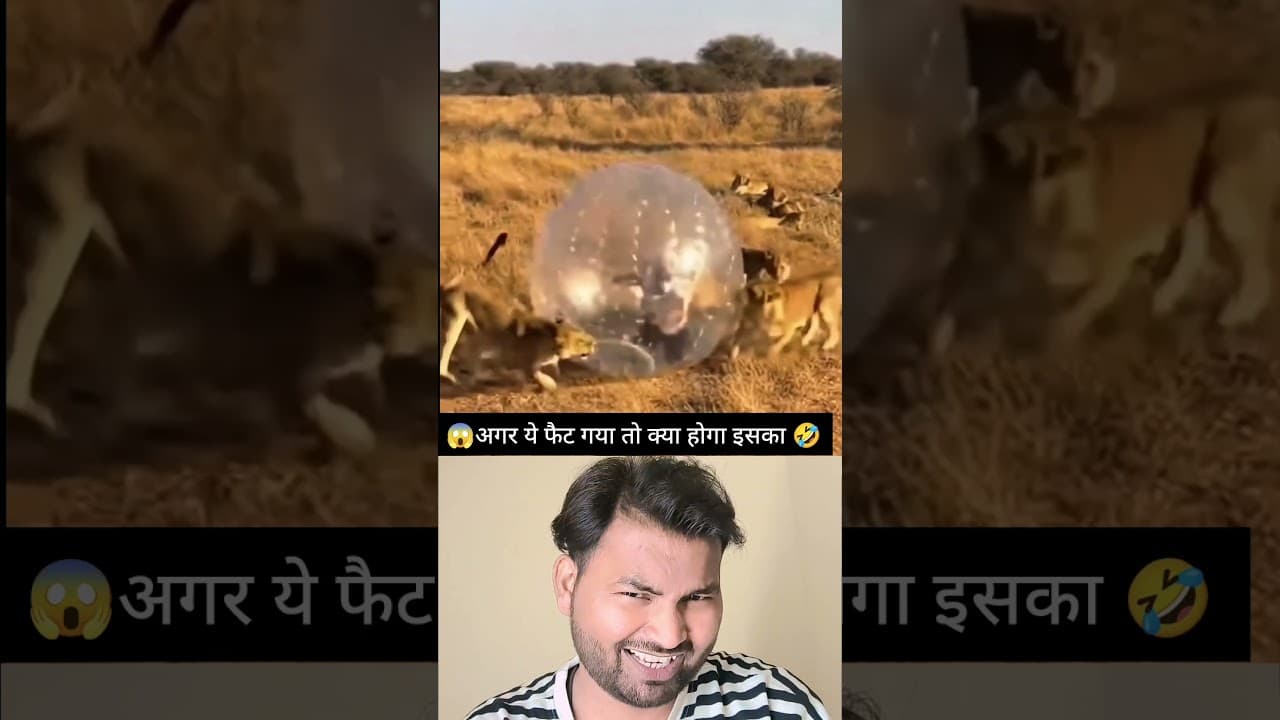 wait For End  238🤣 ai bawal h bhai 😭 v#shorts #ytshorts #funny #ai