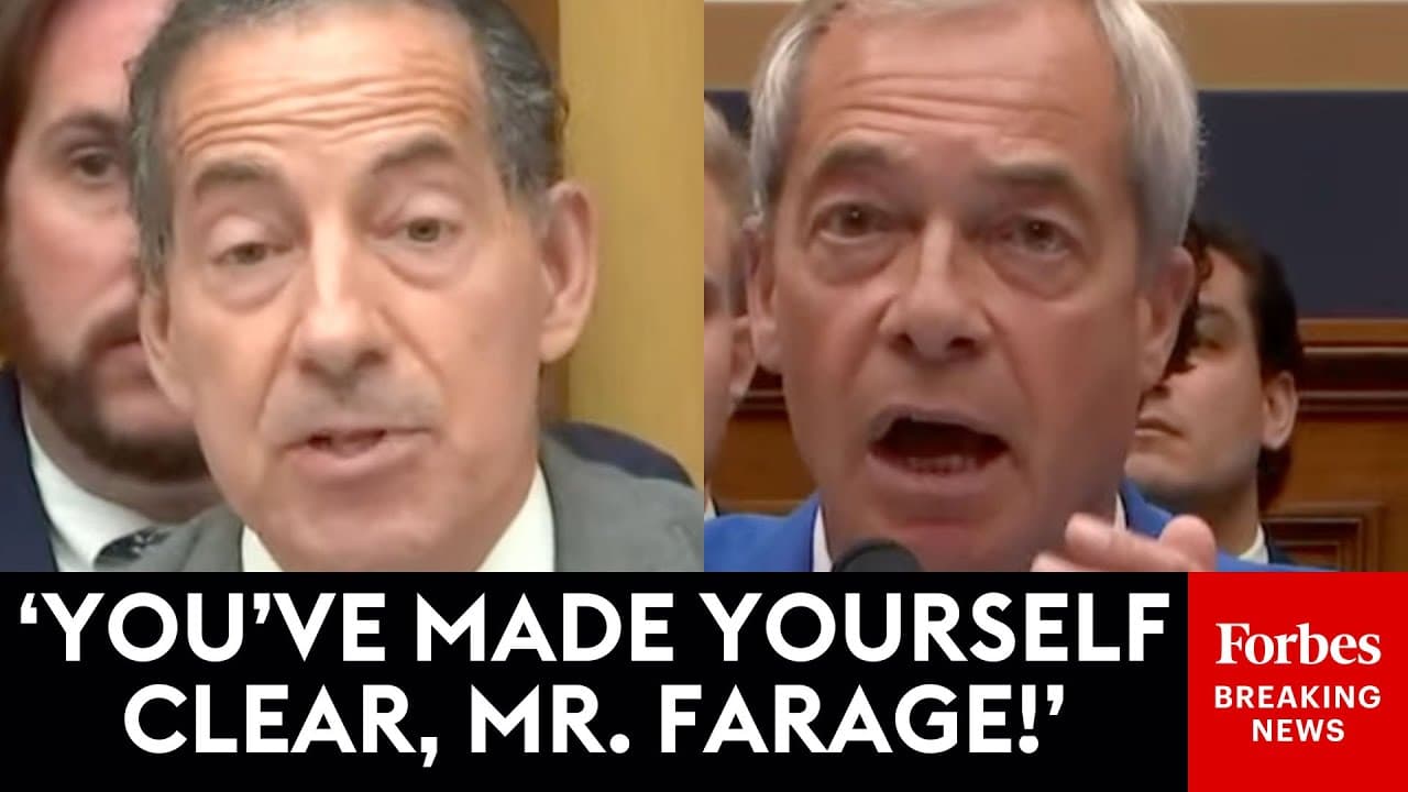 MUST WATCH: Jamie Raskin And Nigel Farage Have Rough Clash Over Free Speech