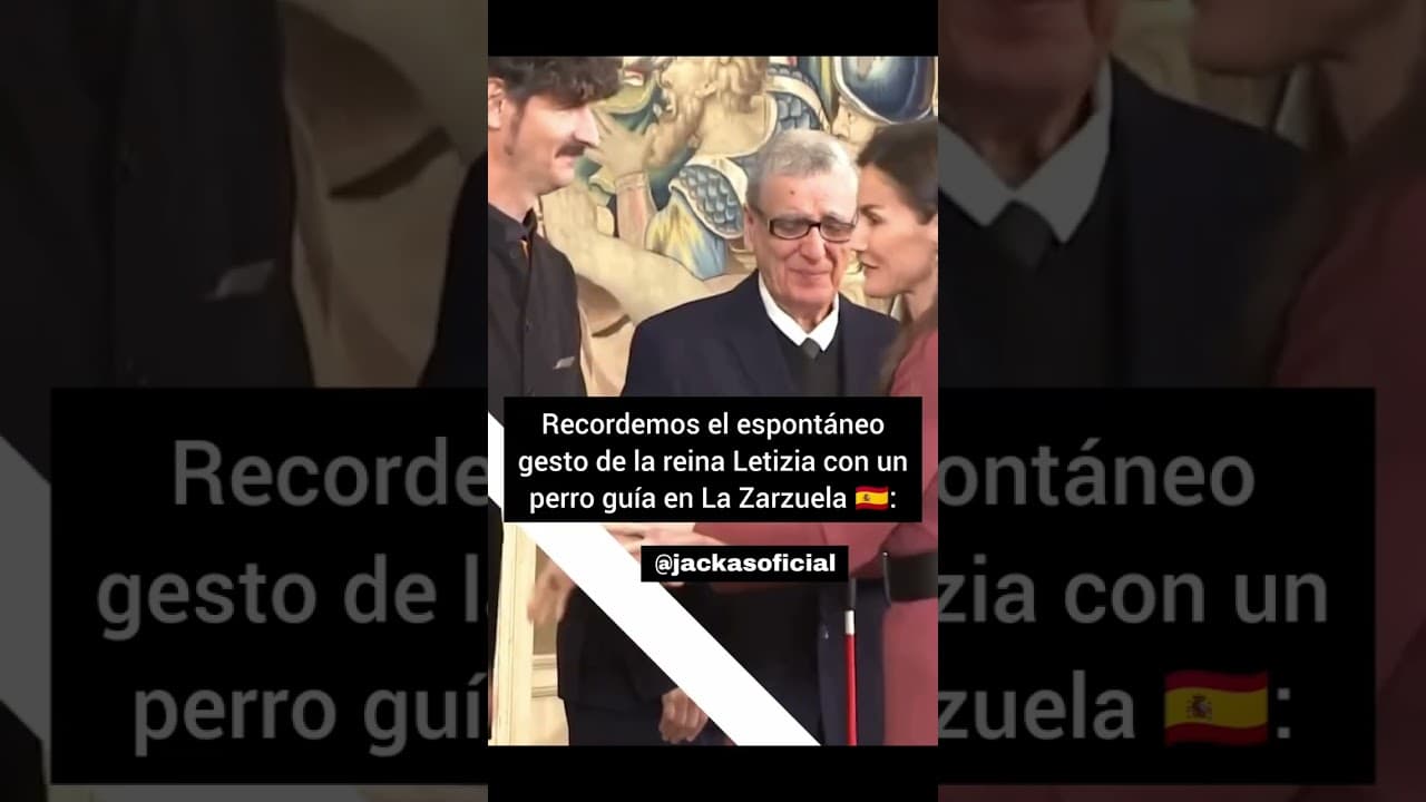 Recordemos el espontáneo gesto de la reina Letizia con un perro guía en La Zarzuela 🇪🇦: