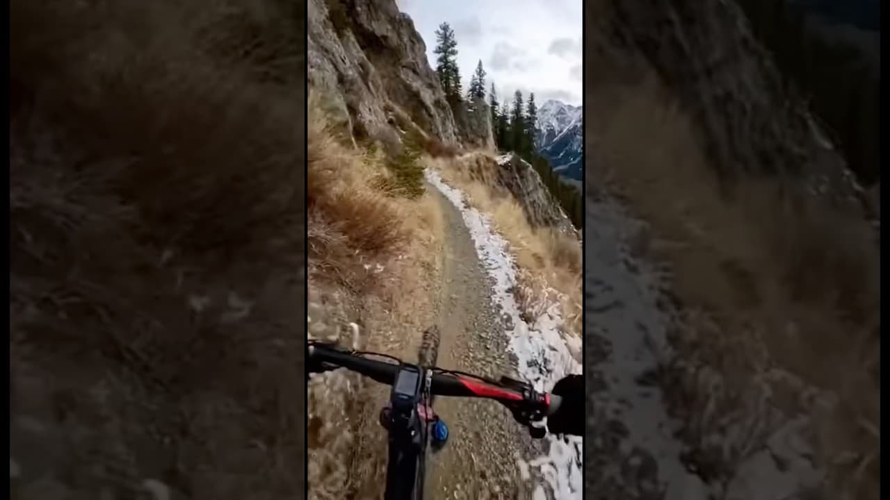 Mountain Lion Lunges At The Cyclist 🤯 #ai#lion #safarijeep #animals #sora #tiger #tigerattack