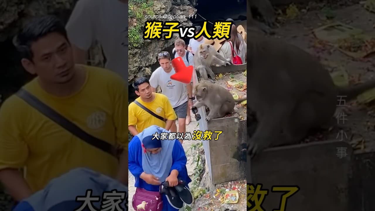 還好省下一筆🕶️