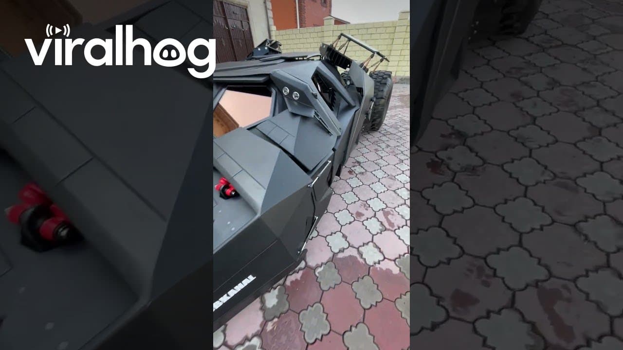 Choosing Between A Regular Car Or A Batmobile || ViralHog